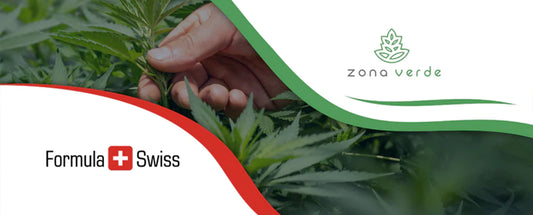 Formula Swiss samarbetar med Rumäniens ledande återförsäljare av cannabis