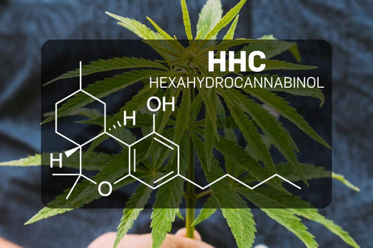 Molekylär struktur av HHC