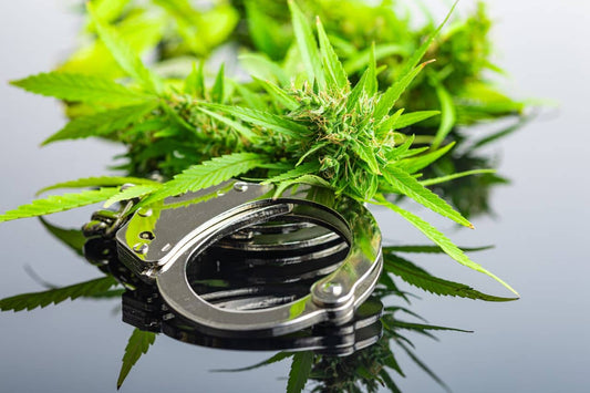 Cannabis och handbojor