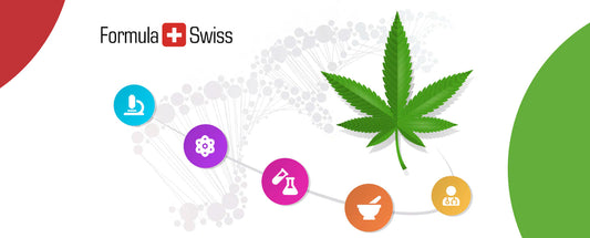 Pressmeddelande: Nederländska forskare samarbetar med schweiziskt cannabisföretag för att forska om säkra och naturliga alternativ för att lösa sömnproblem.