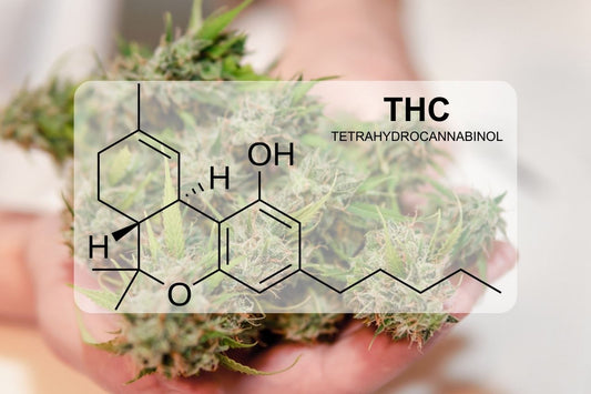 Vad är THC (Tetrahydrocannabinol)?