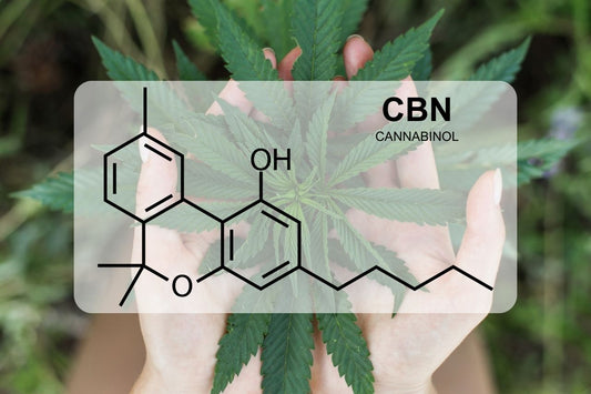 Vad är CBN (Cannabinol)?