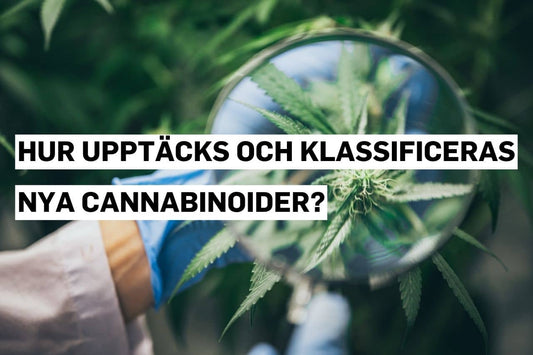 Hur upptäcks och klassificeras nya cannabinoider?