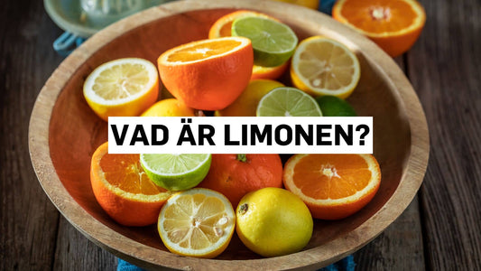 Citrusfrukter som innehåller limonen.