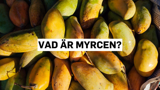 Vad är myrcen?