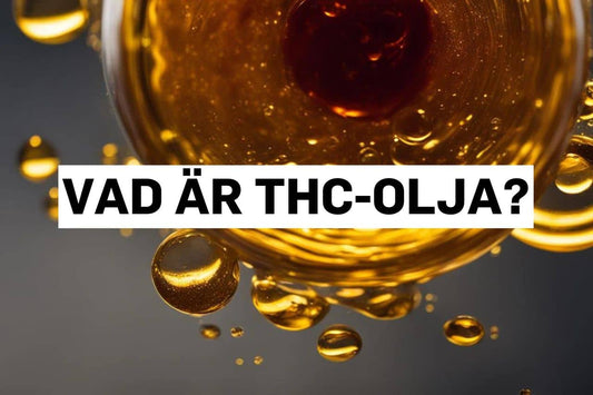 Vad är THC olja?