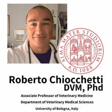 Professor Roberto Chiocchetti vid universitetet i Bologna