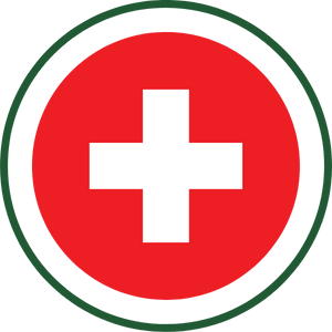 schweizisk logotyp