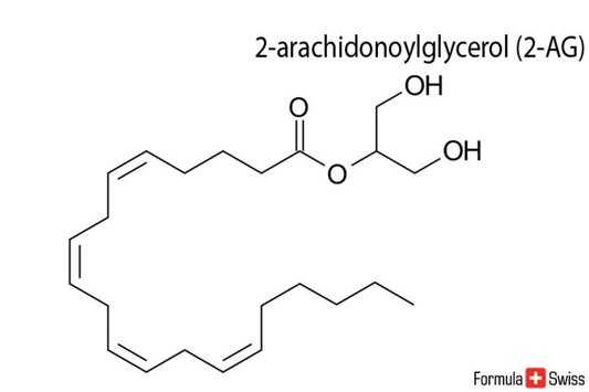 2-AG och anandamid - två viktiga endocannabinoider