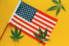 U.S.A Flagga med tre cannabisblad