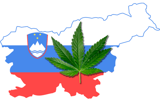 Cannabis motståndare i Slovenien