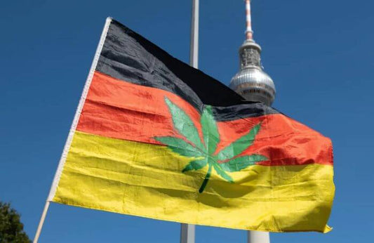 Tysklands plan för legalisering av cannabis