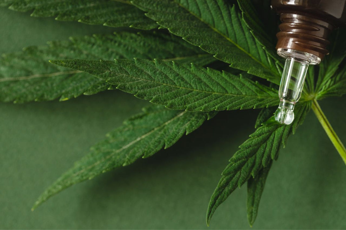 Bestämmelser om medicinsk cannabis i Nya Zeeland