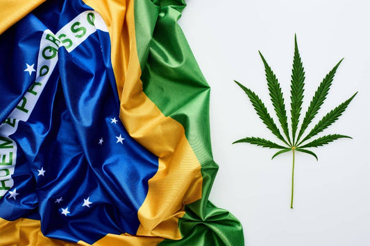 Brasiliens flagga och cannabisblad