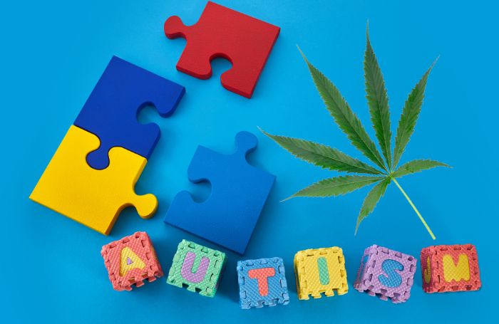 Ett pussel som symboliserar autism och ett cannabisblad