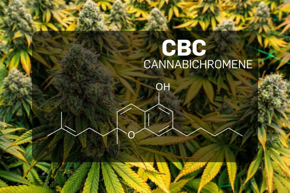 Cannabikromen (CBC)