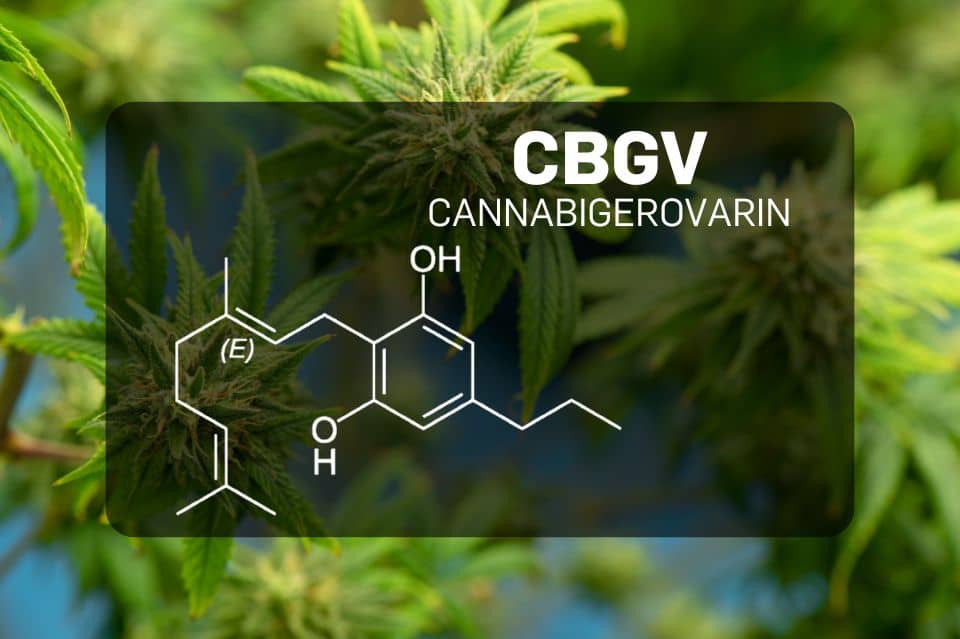 Kemisk struktur för Cannabigerivarin (CBGV)