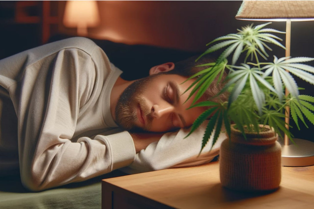 Sovande man med cannabisväxt bredvid honom