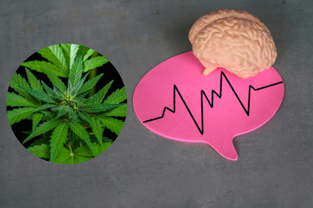 Cannabis för behandling av neurologiska sjukdomar