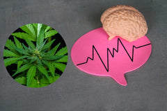 Cannabis för behandling av neurologiska sjukdomar