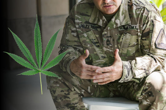 Cannabis förbättrar veteranernas liv