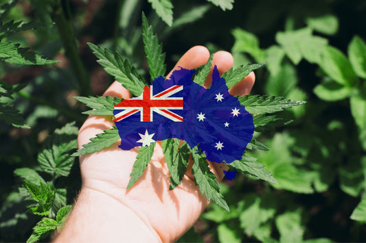  Cannabis i Australien