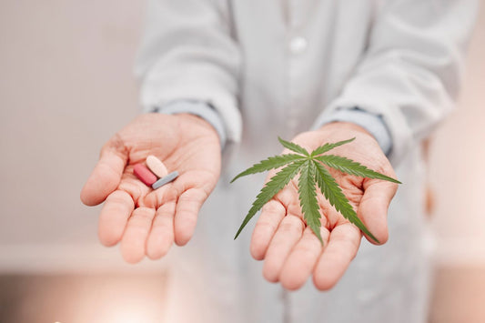 Cannabis kan minska suget efter opioider