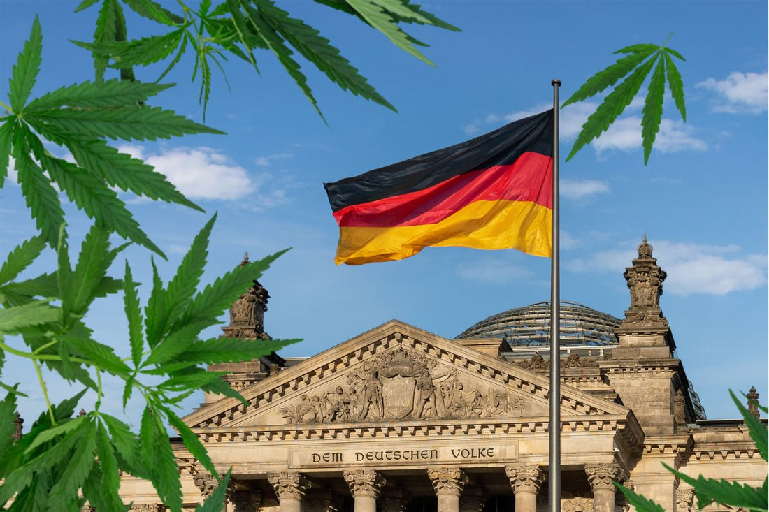 Cannabisblad framför riksdagen
