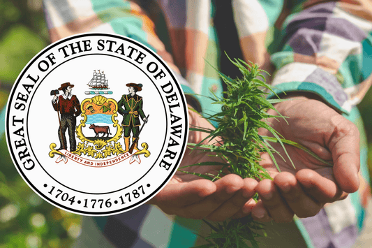 Delaware legaliserar cannabis för vuxna
