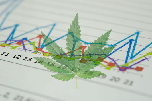  Medicinsk cannabis: Global uppgång och påverkan