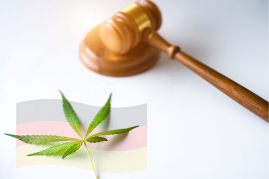 Legalisering av cannabis: effekter i Tyskland