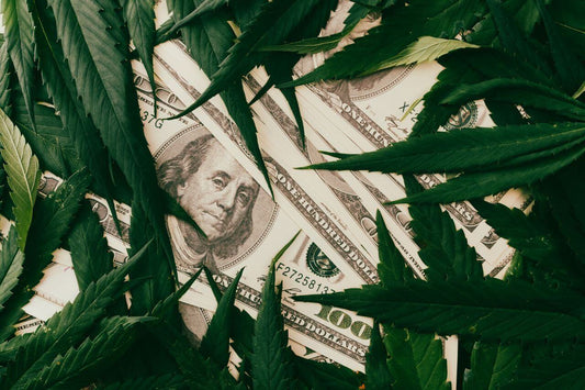 Dollar och cannabisblad
