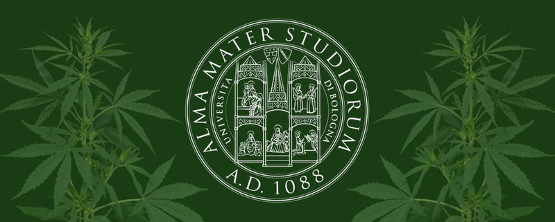 Forskningssamarbete med universitetet i Bologna