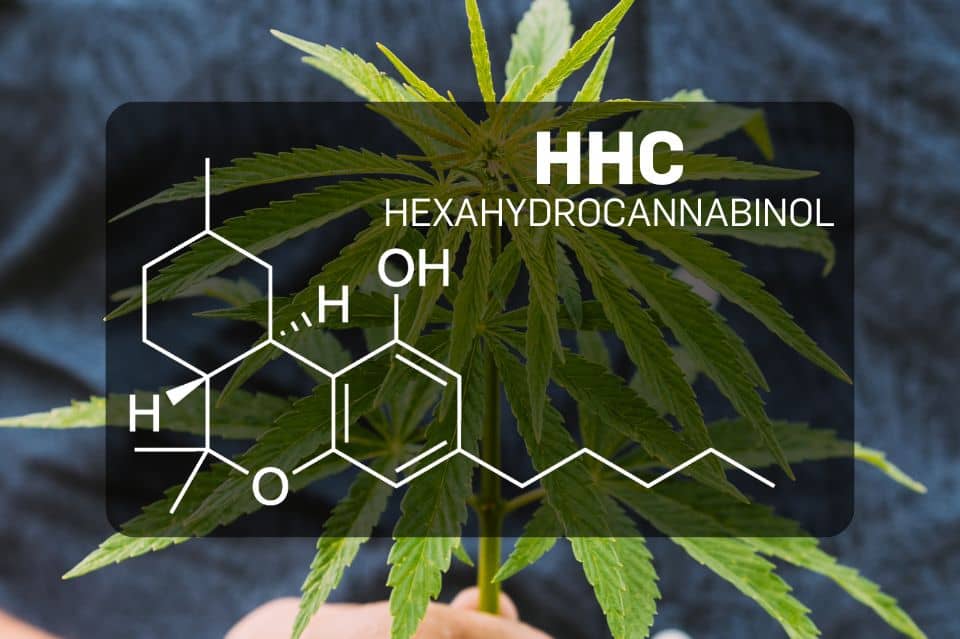 Molekylär struktur av HHC