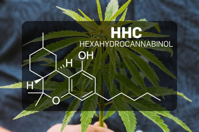 Molekylär struktur av HHC