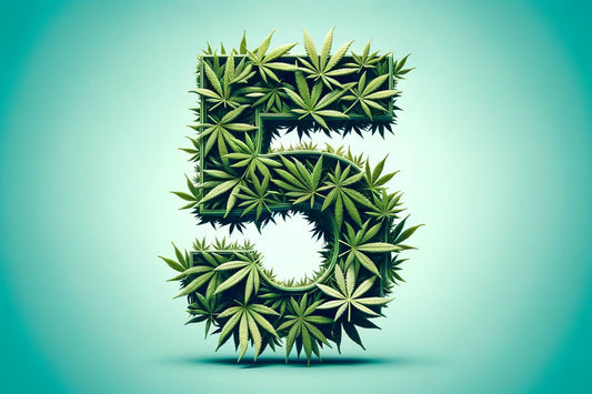 Cannabisblad som bildar ett nummer fem