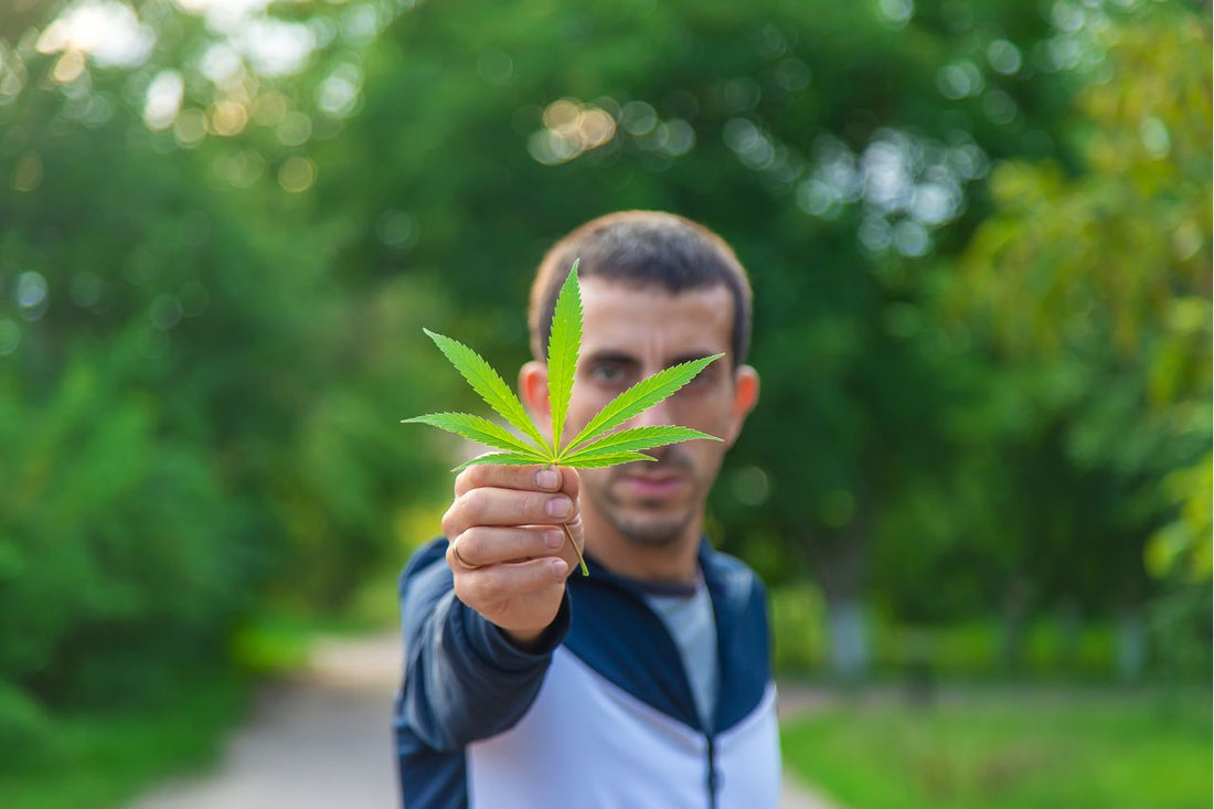 Israels policy för medicinsk cannabis