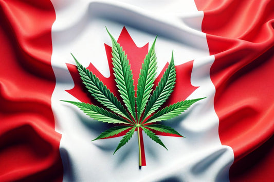  Cannabisblad framför den kanadensiska flaggan