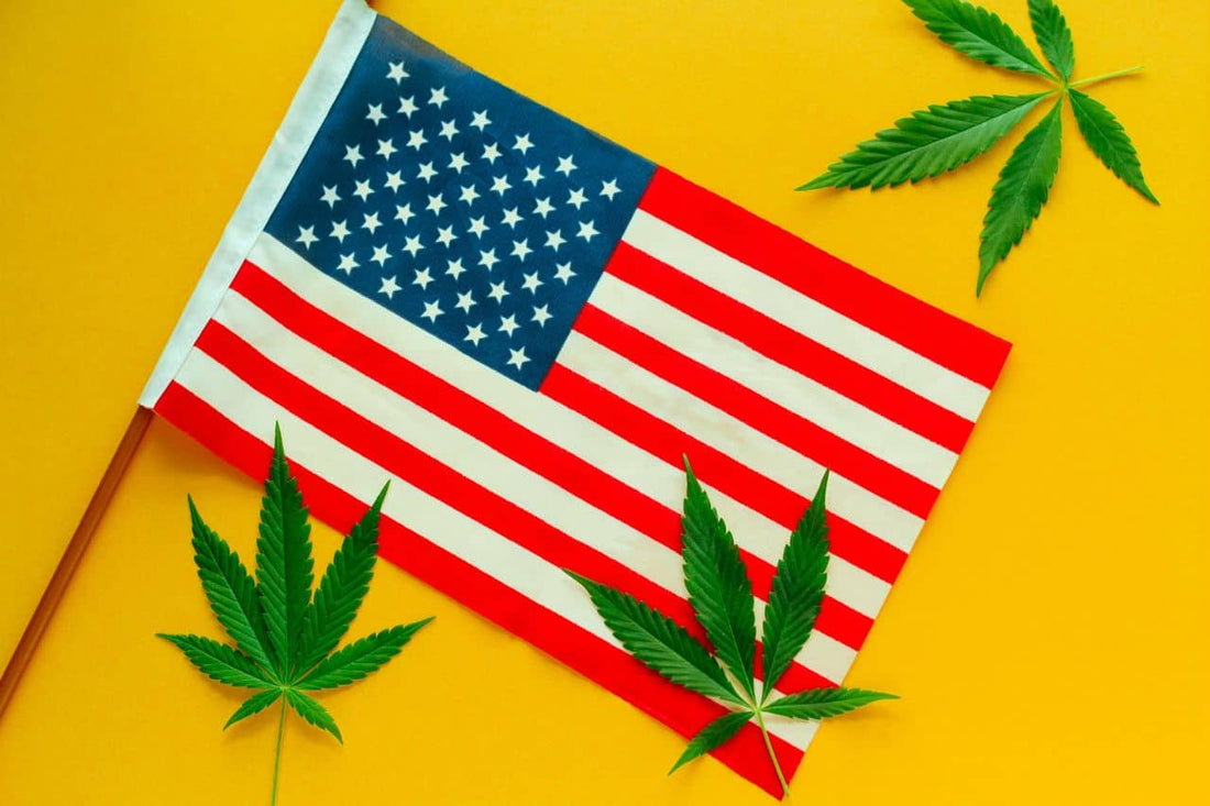 Amerikansk flagga med cannabisblad