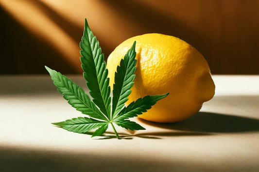En citron och ett cannabisblad