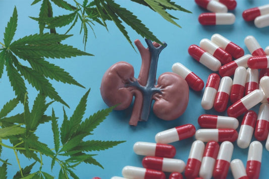 Cannabis, njure, receptbelagda läkemedel