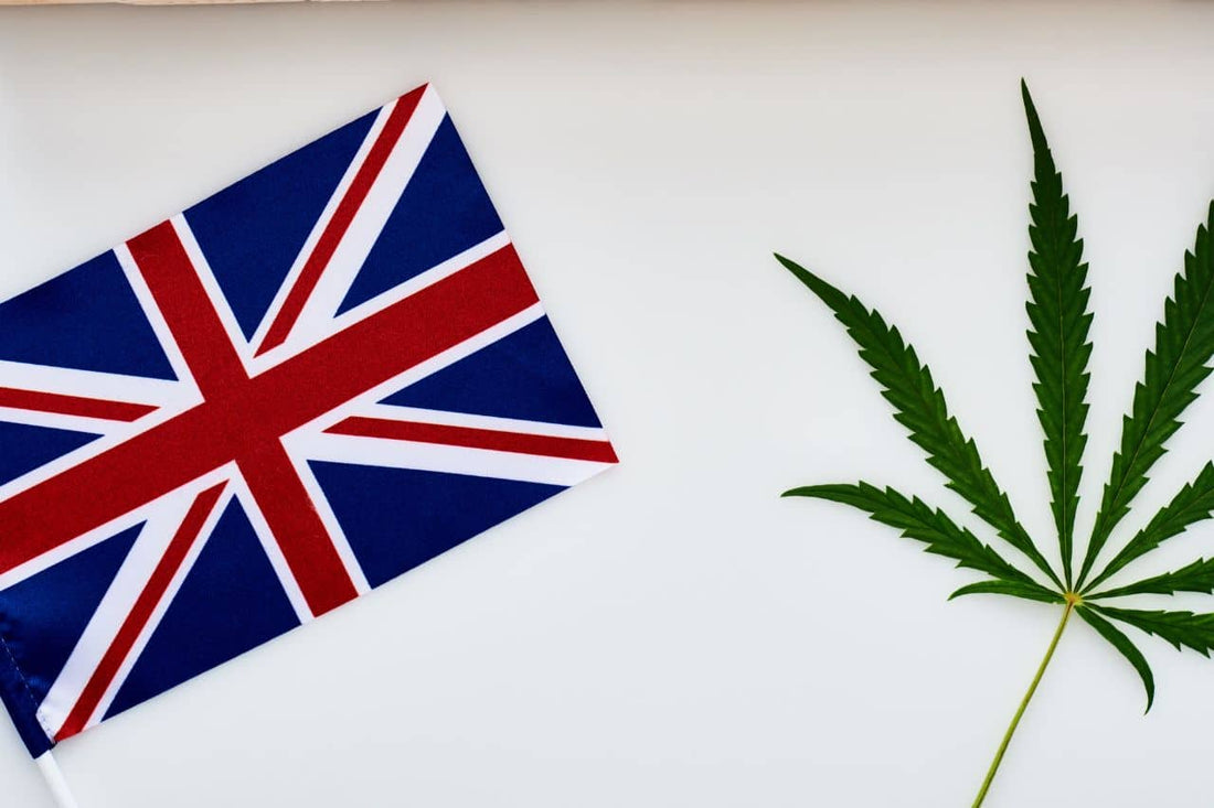 cannabisblad och brittisk flagga