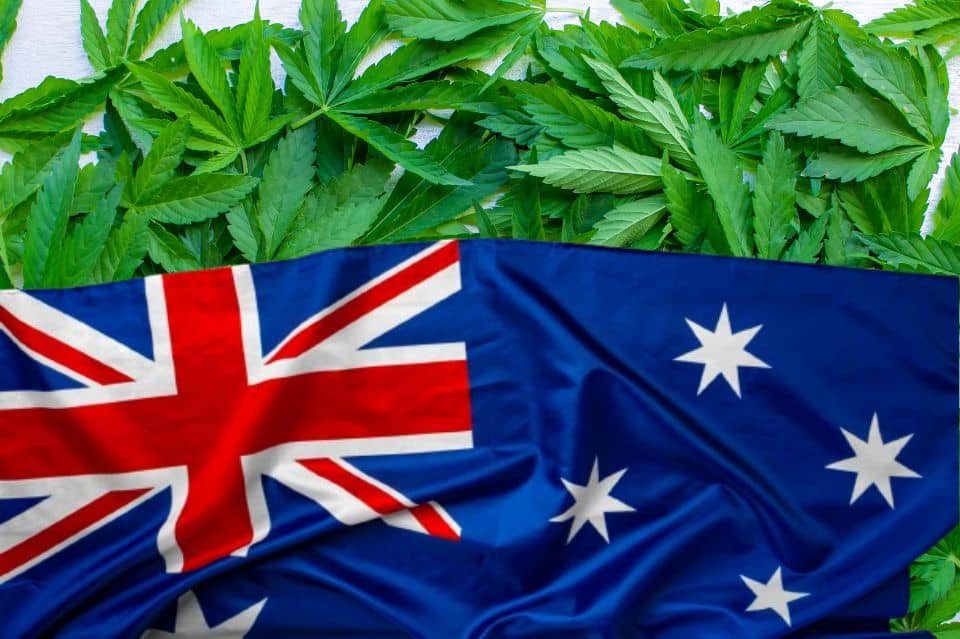 Cannabisblad och australiensisk flagga