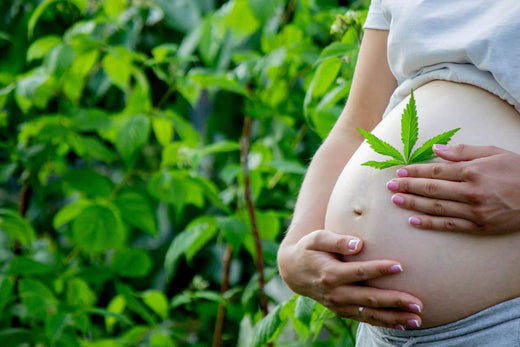 gravid mage med cannabisblad