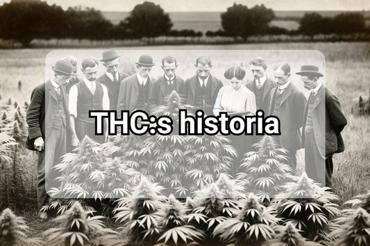 THC:s historia