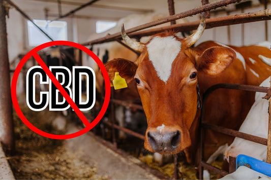 Förbjud CBD-skylt på en mjölkgård