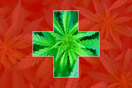 Schweiz inställning till cannabis