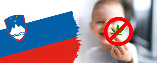 Slovenien förbjuder CBD efter att lokala producenter förgiftat barn