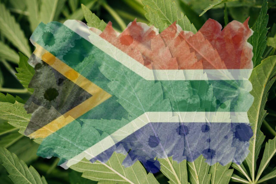 Afrikansk flagga och cannabisblad 