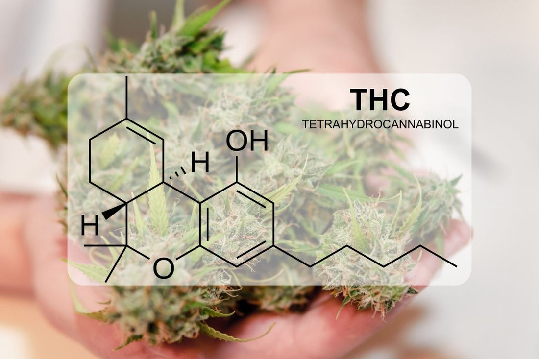 Vad är THC (Tetrahydrocannabinol)?